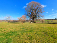 Maison à vendre à Saint-Yrieix-la-Perche, Haute-Vienne - 348.000 € - photo 9
