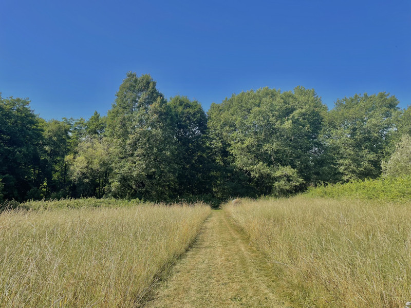 French property for sale in Chéronnac, Haute-Vienne - €369,500 - photo 14