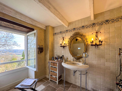 French property for sale in Montcuq-en-Quercy-Blanc, Lot - €685,000 - photo 6