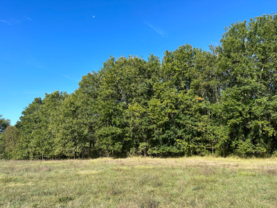 French property for sale in Bourdeilles, Dordogne - €435,000 - photo 5