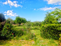 Propriété à vendre à Mialet, Dordogne - 129 990 € - photo n°9