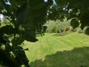 French property for sale in Bassoues, Gers - €340,000 - thumbnail 14