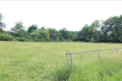 French property for sale in Saint-Germain-du-Salembre, Dordogne - €27,500 - photo 1