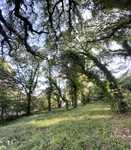 Terrain à vendre à La Garde-Freinet, Var - 149.474 € - photo 5