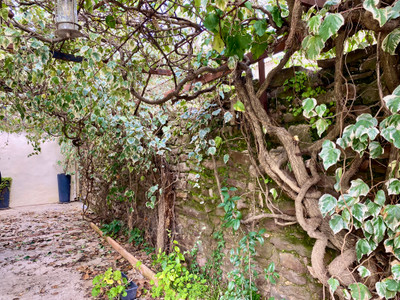 French property for sale in Homps, Aude - €397,000 - photo 11