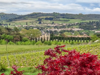 Maison à vendre à Limoux, Aude - 398.000 € - photo 14