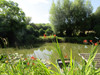 French property for sale in Neuville-sur-Sarthe, Sarthe - €381,900 - thumbnail 9