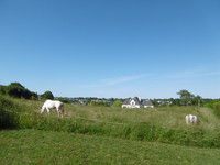 Terrain à vendre à Gorron, Mayenne - 91.500 € - photo 14