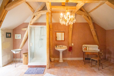 French property for sale in Razines, Indre-et-Loire - €465,000 - photo 6
