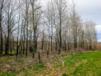 Propriété à vendre à Dournazac, Haute-Vienne - 39 900 € - photo n°10