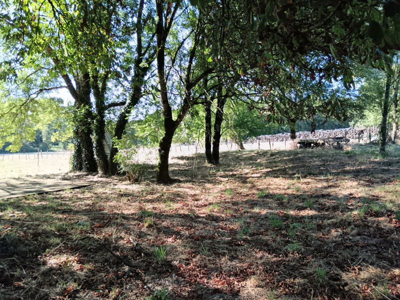 French property for sale in La Chapelle-Bâton, Vienne - €204,120 - photo 13
