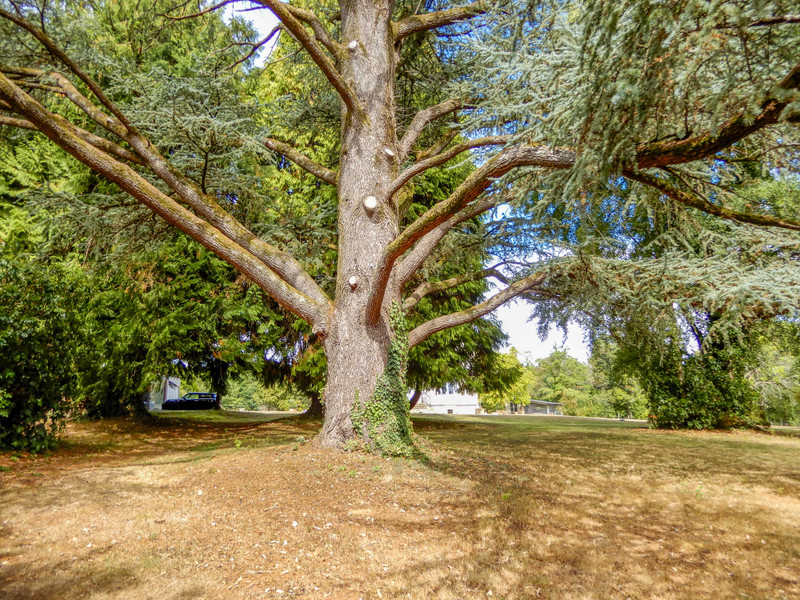 French property for sale in Saint-Priest-Taurion, Haute-Vienne - €530,000 - photo 13