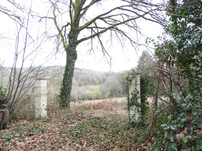 Terrain à vendre à Affieux, Corrèze, Limousin, avec Leggett Immobilier