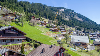 French property for sale in Châtel, Haute-Savoie - €433,000 - photo 7