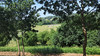 French property for sale in Lonlay-l'Abbaye, Orne - €51,800 - thumbnail 9