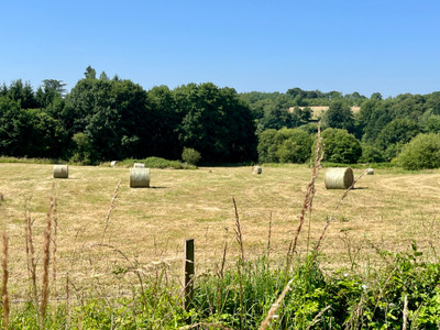 French property for sale in Carrouges, Orne - €485,000 - photo 9