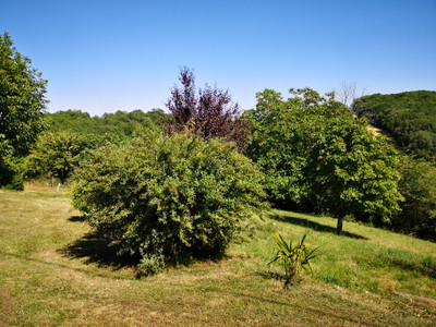 French property for sale in Mirande, Gers - €267,000 - photo 3