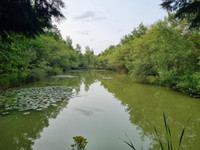Lacs à vendre à Langon, Ille-et-Vilaine - 344 500 € - photo 6