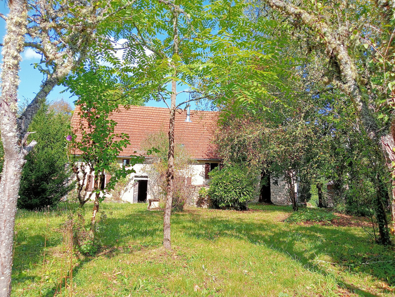 French property for sale in Roche-le-Peyroux, Corrèze - €164,000 - photo 9