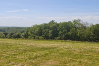 Propriété à vendre à Tauriac, Tarn - 87 600 € - photo n°3