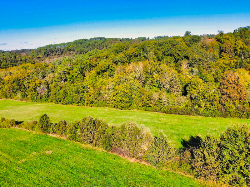 French property for sale in Saint-Paul-de-Serre, Dordogne - €77,390 - photo 3