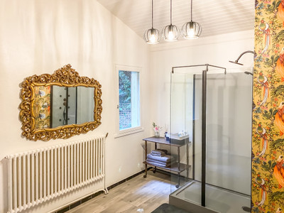Magnificent 19th century Chateau with stunning mountain views over historic Pyrenean spa town.