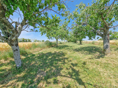 French property for sale in Bessé, Charente - €398,900 - photo 9