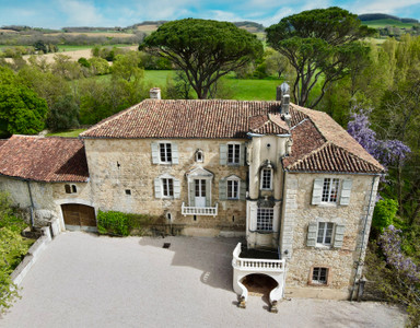 Marvellous C15th Chateau in the heart of the Gers countryside + 5Ha wood  + pool + guest house + outbuildings
