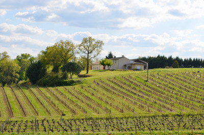 Maison à vendre à Pessac-sur-Dordogne, Gironde, Aquitaine, avec Leggett Immobilier