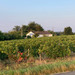 French property for sale in Saint-Émilion, Gironde - €395,000 - thumbnail 9