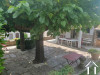 French property for sale in Colombières-sur-Orb, Hérault - €320,000 - thumbnail 8