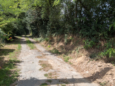 French property for sale in Les Salles-Lavauguyon, Haute-Vienne - €21,500 - photo 9