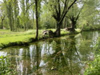Maison à vendre à Monsaguel, Dordogne - 800.300 € - photo 13