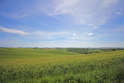 French property for sale in Salles-sur-l'Hers, Aude - €740,000 - photo 3