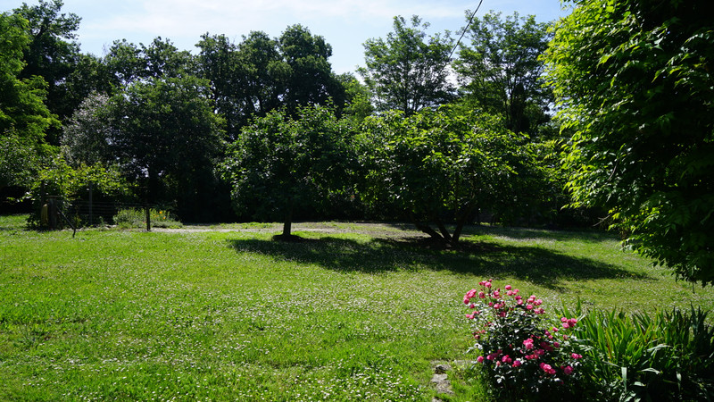 French property for sale in Monségur, Gironde - €290,000 - photo 5