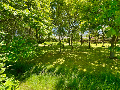 French property for sale in Perros-Guirec, Côtes-d'Armor - €448,000 - photo 7