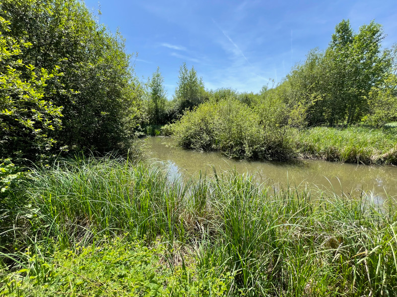 French property for sale in Meunet-Planches, Indre - €351,920 - photo 4