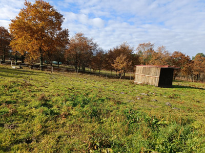 French property for sale in Castelnau-de-Médoc, Gironde - €499,000 - photo 4