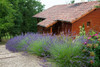 French property for sale in Lachapelle-Auzac, Lot - €210,000 - thumbnail 9