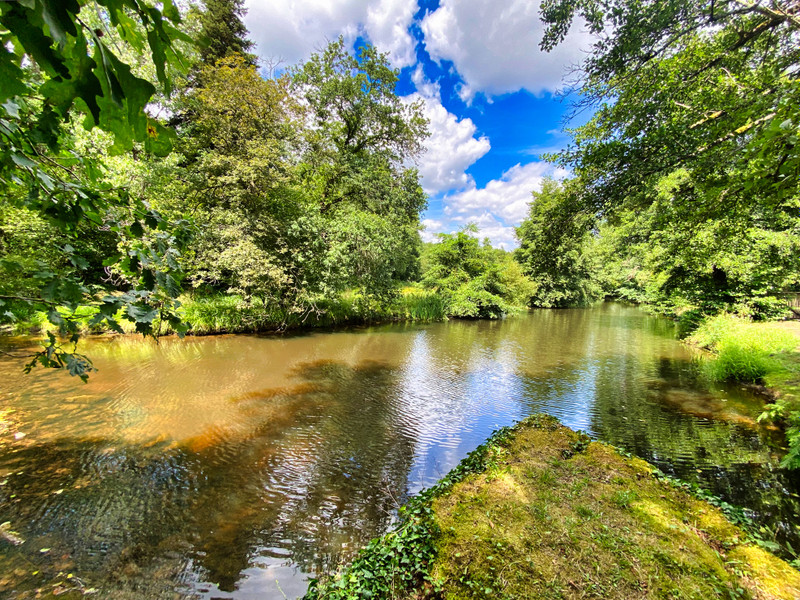 French property for sale in Savignac-de-Nontron, Dordogne - €990,000 - photo 5