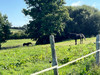 French property for sale in Tanville, Orne - €450,000 - thumbnail 9