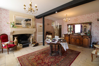 Magnificent 7-bedroom Château. Ideal family home & BnB/Events business.   3.8 acres near Niort.