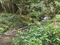 Moulin à vendre à Monteignet Sur L Andelot, Allier - 360.000 € - photo 9