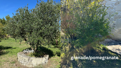 French property for sale in Esclottes, Lot-et-Garonne - €381,600 - photo 7