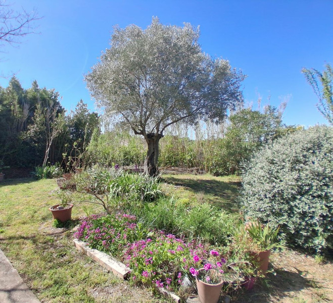 French property for sale in Campagnan, Hérault - €319,000 - photo 1