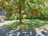 French property for sale in Soursac, Corrèze - €229,050 - thumbnail 14