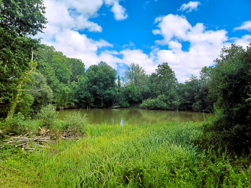 House for sale in Vasles DeuxSèvres 5 bedroomed bungalow to finish