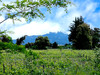 French property for sale in Sarrians, Vaucluse - €824,000 - thumbnail 9