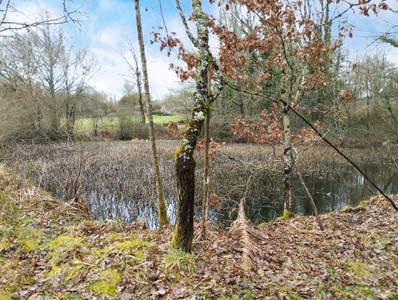 French property for sale in Chalais, Dordogne - €88,000 - photo 3