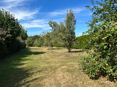 French property for sale in Saint-Saud-Lacoussière, Dordogne - €30,100 - photo 4